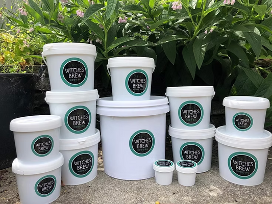WITCHES BREW - Buckets
