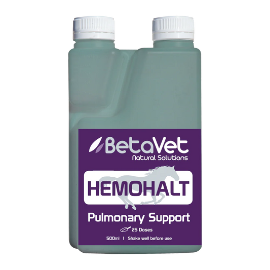 BetaVet - Hemohalt