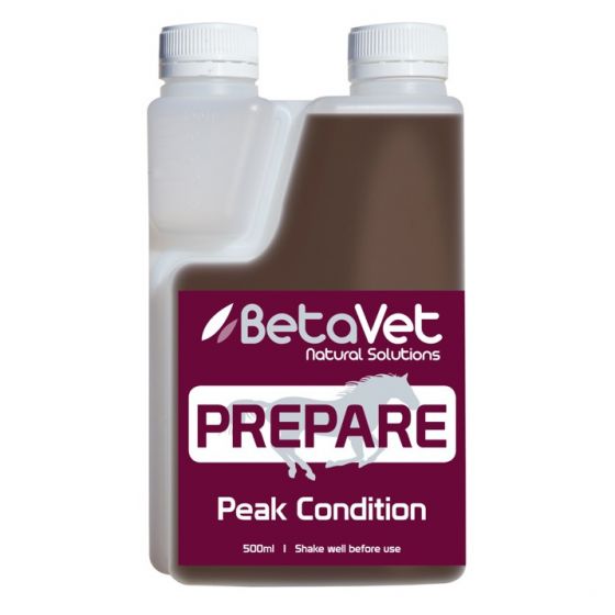 BetaVet - Prepare
