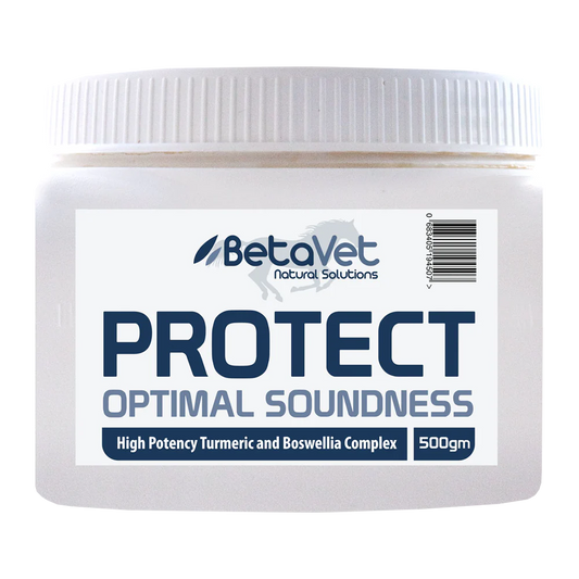 BetaVet - Protect