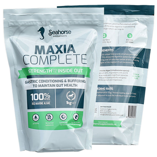 Seahorse - Maxia Complete