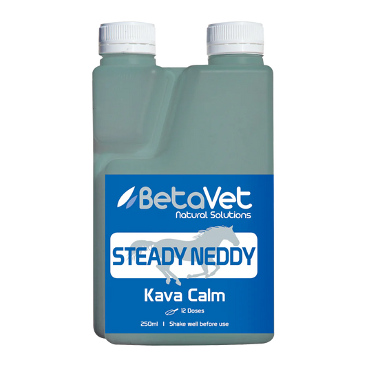 BetaVet - Steady Neddy