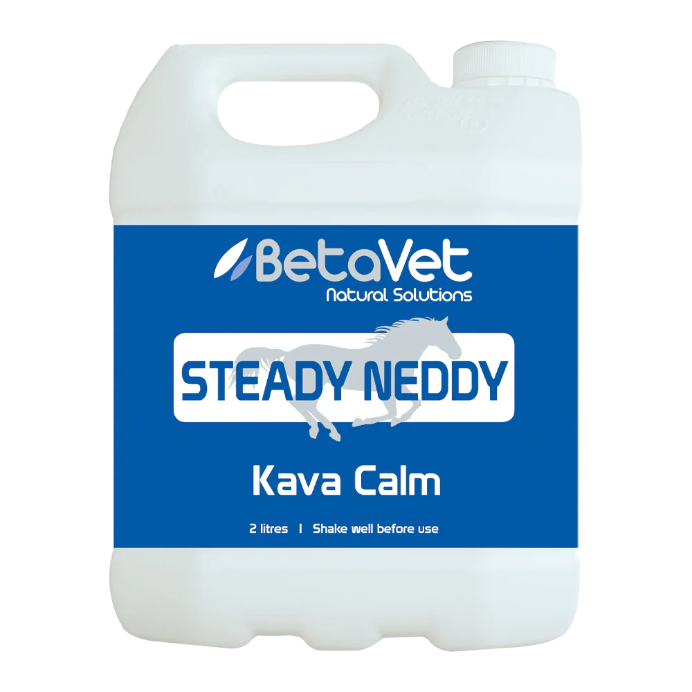 BetaVet - Steady Neddy